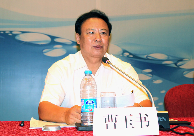 中施企協曹玉書會長出席會議并做主旨發言