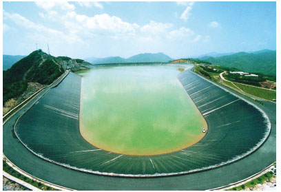 順時應(yīng)勢而為